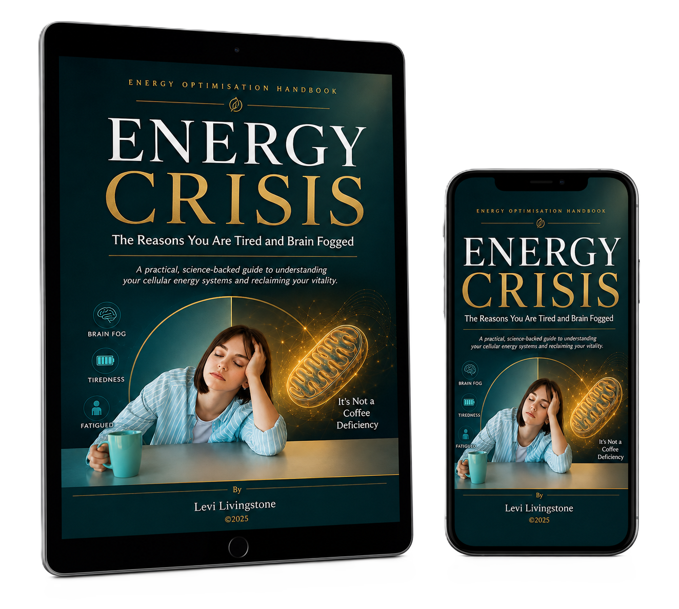 Energy Crisis